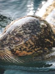 Sapporo City Maruyama Zoo