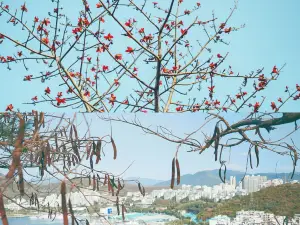 Luhuitou Scenic Area