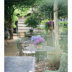 Petersham Nurseries Cafè張用戶圖片