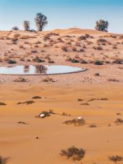 杜拜沙漠保護區