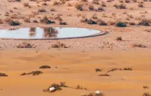 Заповедник охраны пустыни Дубая