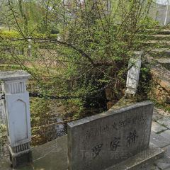 梅峰饭店 User Photo