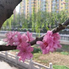 肯德基(济水大街店) 여행 사진