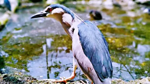 Bandung Zoo attraction in West Java