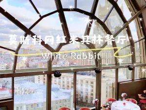 White Rabbit