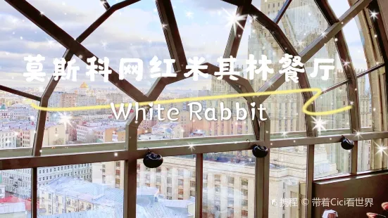 White Rabbit