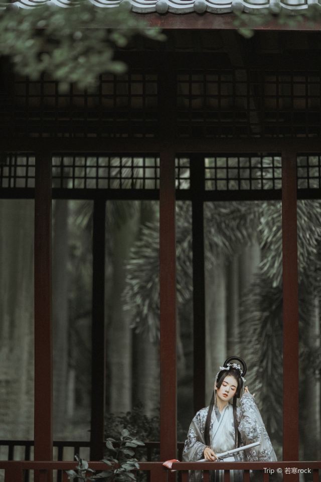 위엔보위엔 Attractions - 선전 Travel Review -2020년 5월 28일Travel Guide - Trip.com