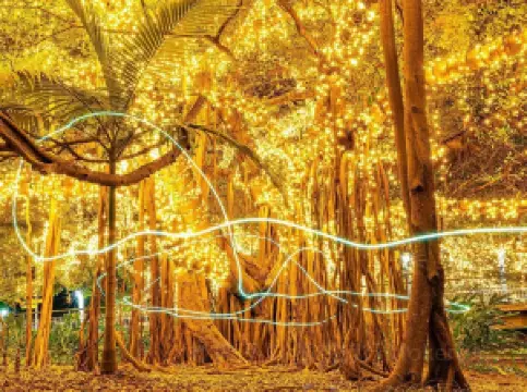 Popular Fall Viewing Attractions in Queensland