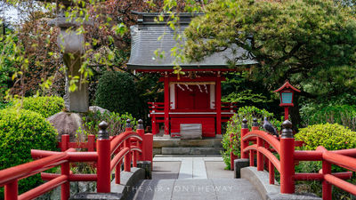 Mishima Taisha