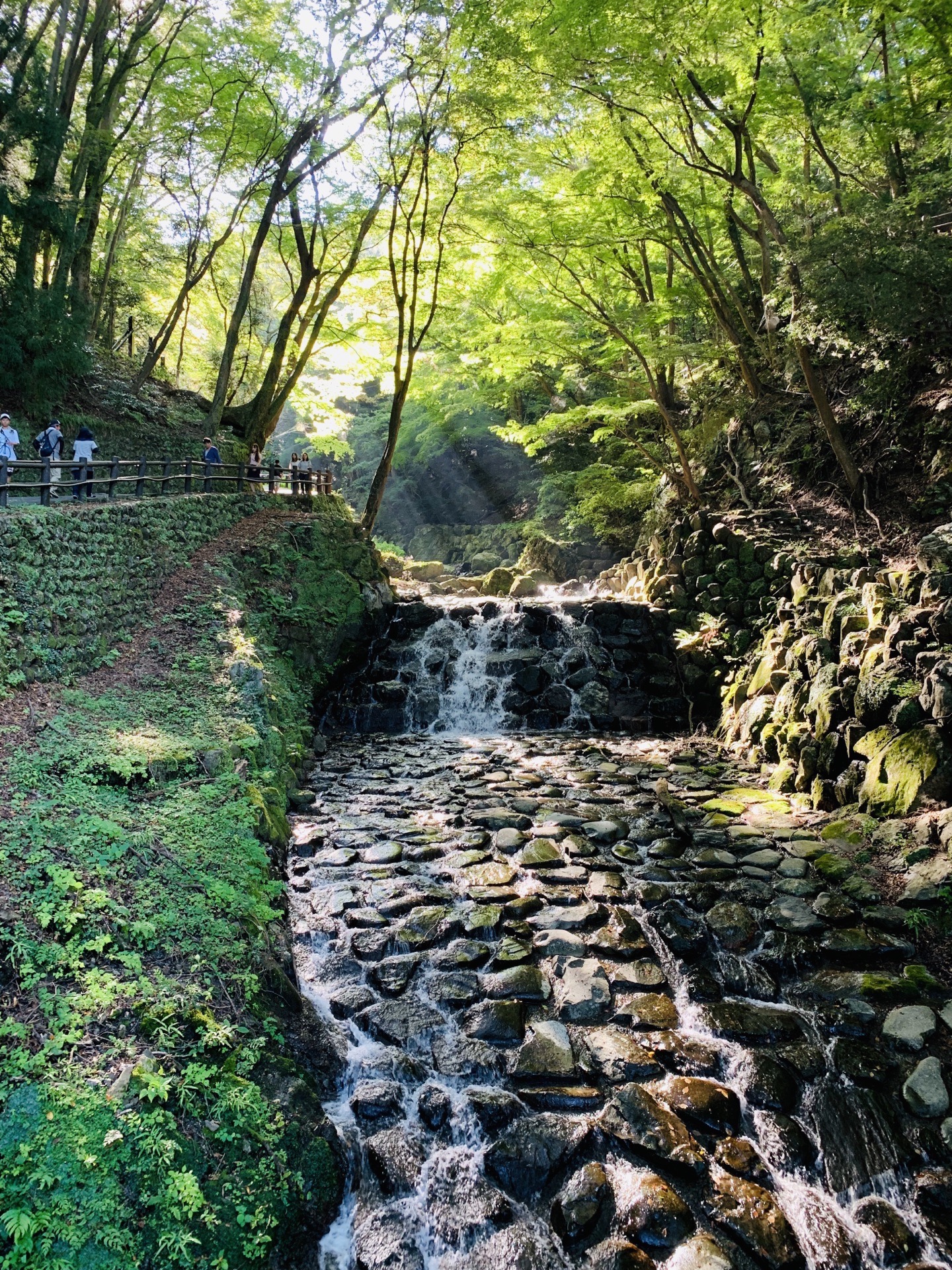 岐阜県 養老公園 評判 案内 トリップドットコム