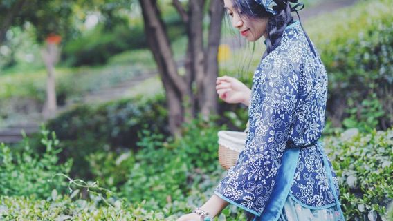 Tea Picking in Liyang