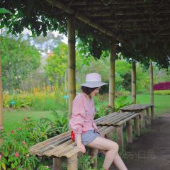 Gardenia Restaurant User Photo