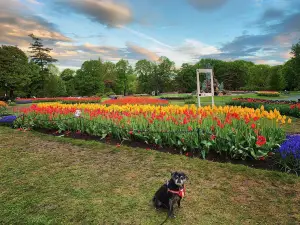 華盛頓公園