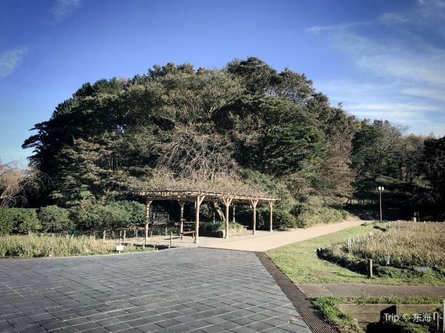橫須賀市立しょうぶ園