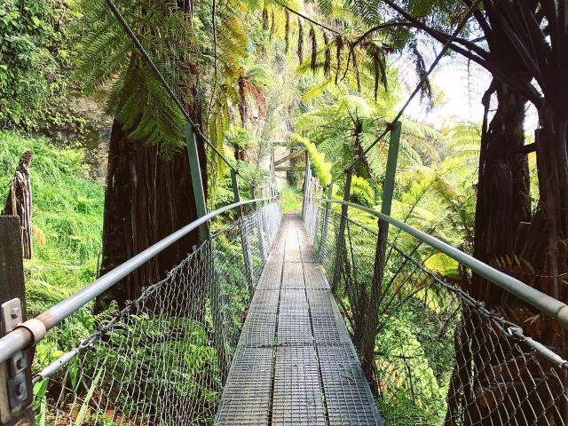 Bridge to Nowhere