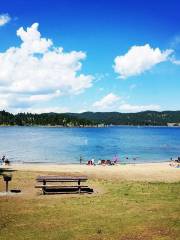 Black Hills National Forest