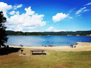 Forêt nationale des Black Hills