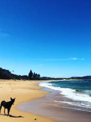 Terrigal Beach