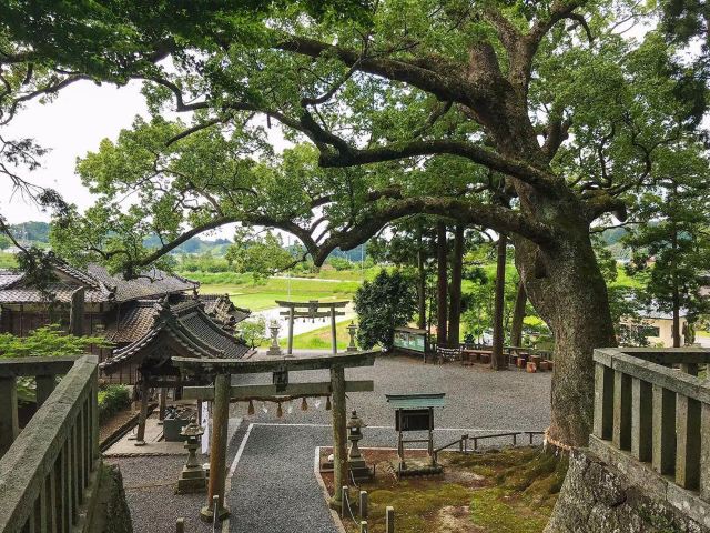 事任八幡宮景點 掛川市旅遊評論 旅行指南 Trip Com 事任八幡宮景點 掛川市旅遊評論 旅行指南 Trip Com