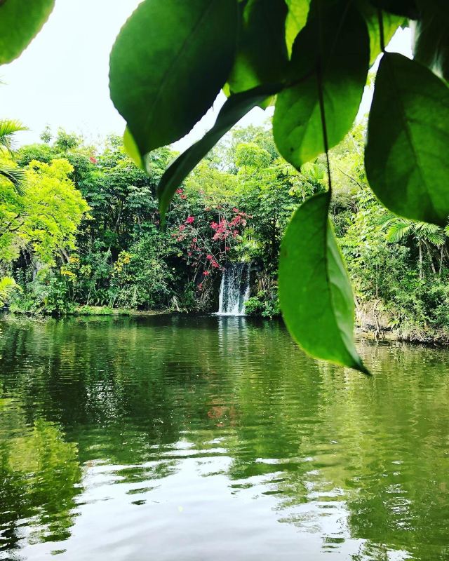 Garden of the Groves