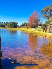 Wentworth Falls Lake