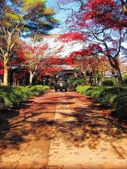 豪徳寺 (曹洞宗 大谿山)