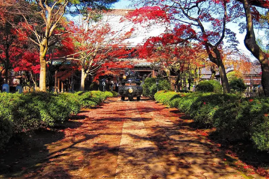 Gotokuji Temple