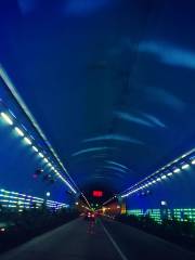 Qinling-Zhongnanshan Highway Tunnel