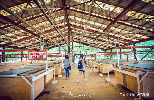Palawan Wildlife Rescue and Consevation Center