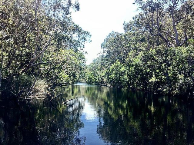 Everglades