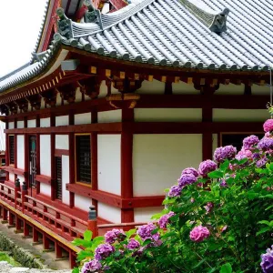 矢田寺