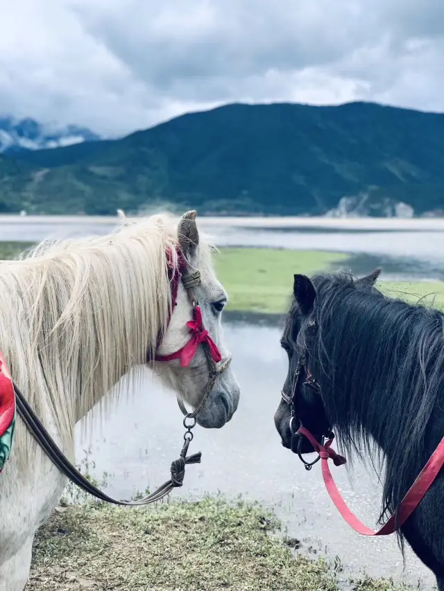 Shangri-La Horse Riding