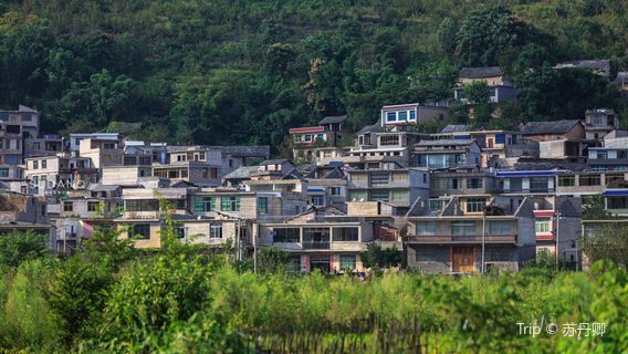 ชิตโตะซัง