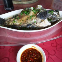 桂港海鮮城張用戶圖片