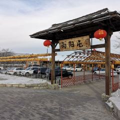 向阳屯农家院 User Photo