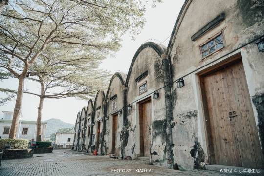 Dapengsuo City + Yangmeikeng + Shenzhen Dapeng Peninsula National Geological and Natural Park Museum + Jiaochangwei one-day tour