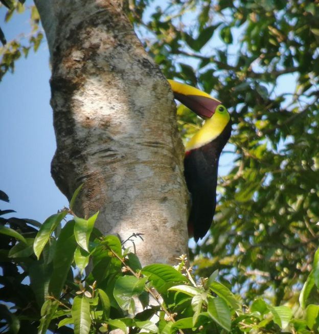 Manuel Antonio National Park
