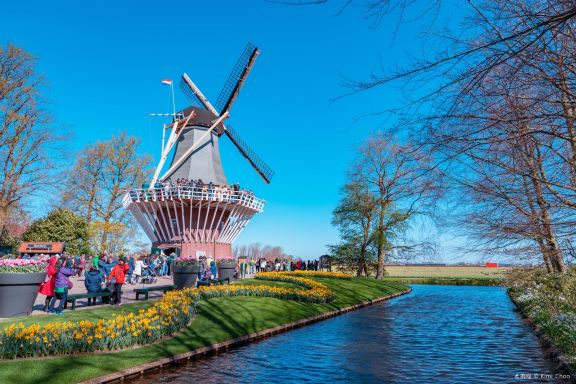 Keukenhof