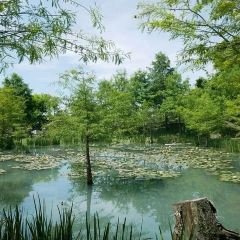 Mr. Sam-山姆先生咖啡館 User Photo