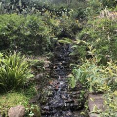 荖猎户·中华原烹雅宴艺术餐厅 User Photo