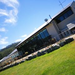 Port Arthur Lavender User Photo