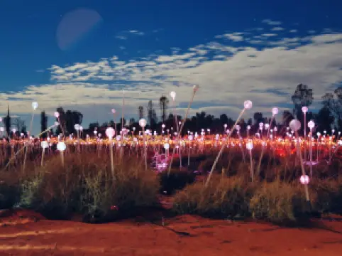 Petermann的熱門夜間人氣景點