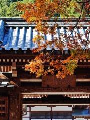 Daiyuzan Saijoji Temple