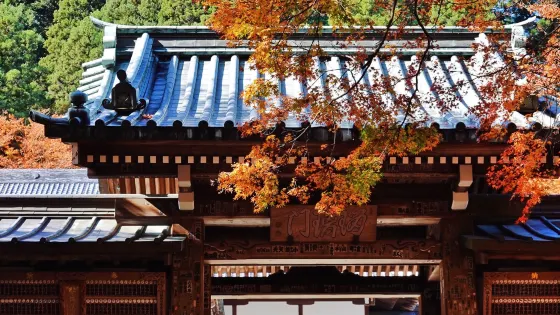 曹洞宗 大雄山最乗寺