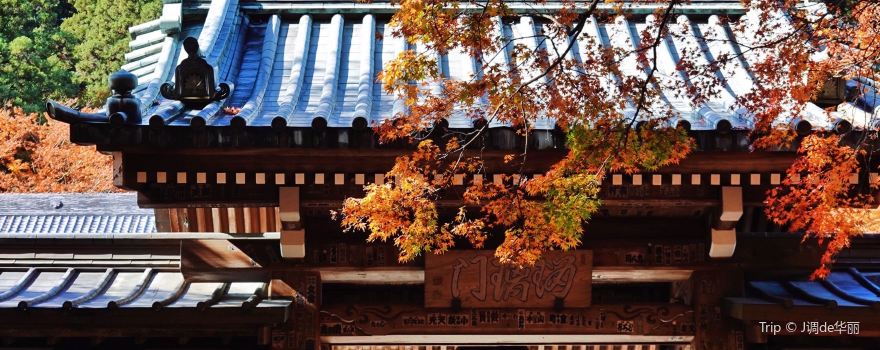 Daiyuzan Saijoji Temple
