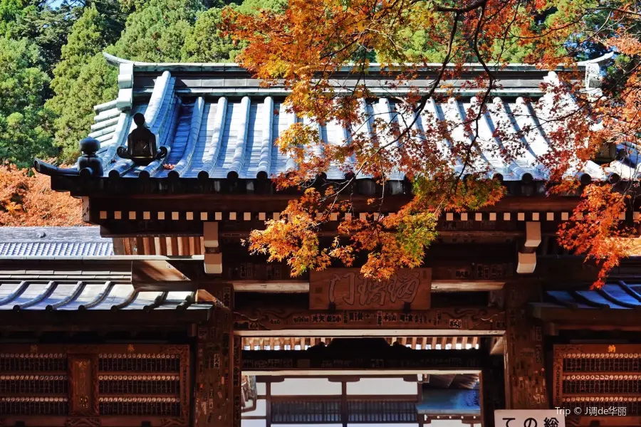 Daiyuzan Saijoji Temple