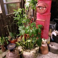 金波銀波張用戶圖片