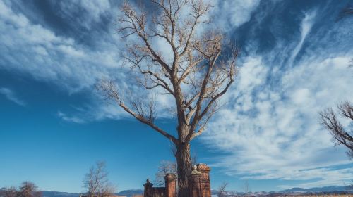 Dangberg Home Ranch Historic Park