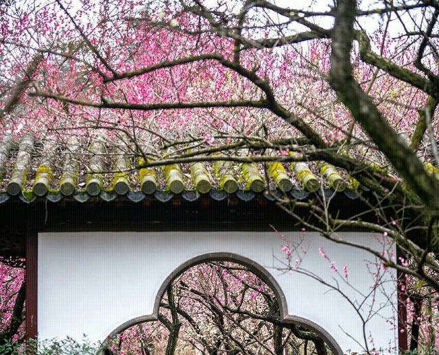 Meigang Park