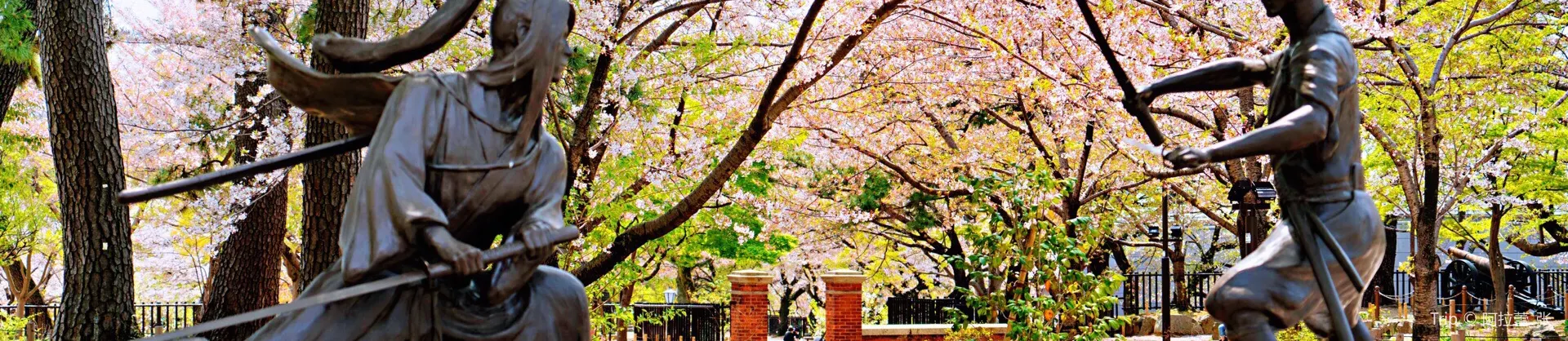 Spring Outings